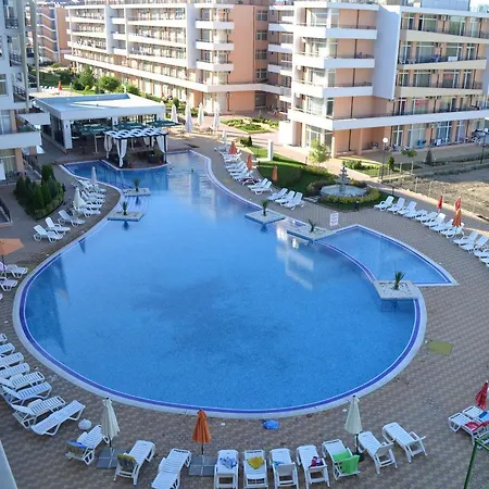 Grand Kamelia Daire